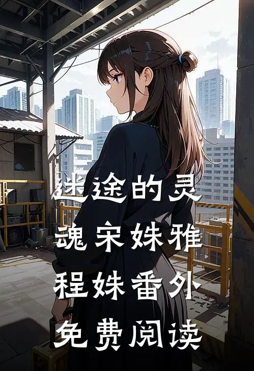 迷途的灵魂宋姝雅程姝 番外免费阅读