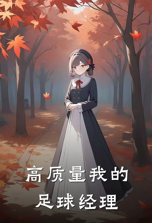 高质量我的足球经理