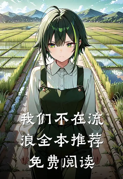 我们不在流浪全本推荐免费阅读
