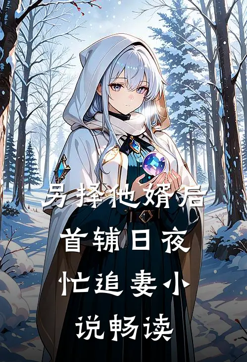 另择他婿后，首辅日夜忙追妻小说畅读