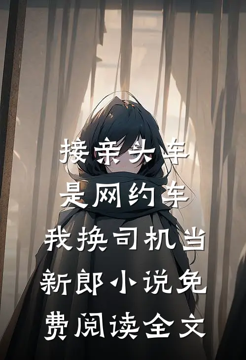 接亲头车是网约车，我换司机当新郎小说免费阅读全文