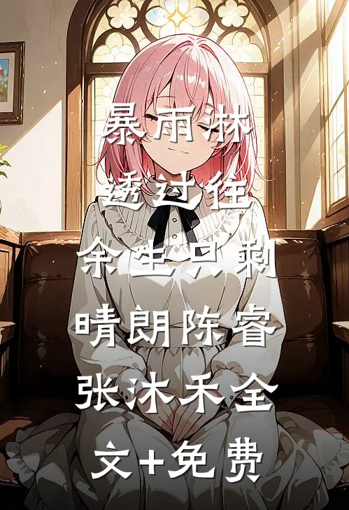 暴雨淋透过往，余生只剩晴朗陈睿张沐禾全文+免费