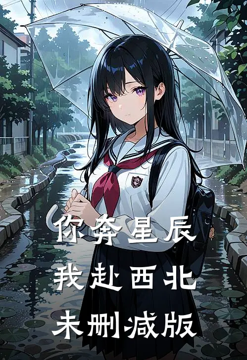 你奔星辰，我赴西北未删减版