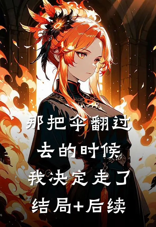 那把伞翻过去的时候，我决定走了结局+后续