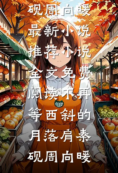 不再等西斜的月落肩(秦砚周向暖)最新小说推荐_小说全文免费阅读不再等西斜的月落肩(秦砚周向暖)