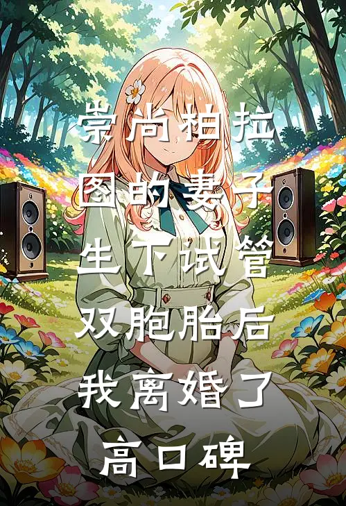 崇尚柏拉图的妻子生下试管双胞胎后，我离婚了高口碑