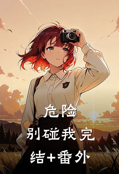 危险，别碰我完结+番外