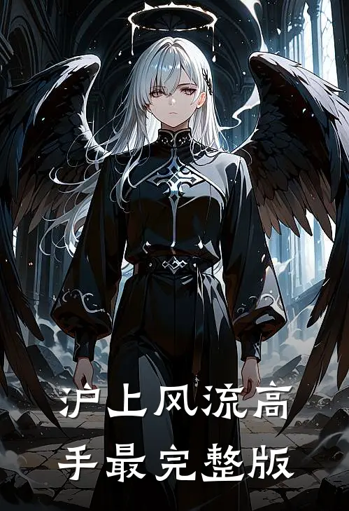 沪上风流高手最完整版