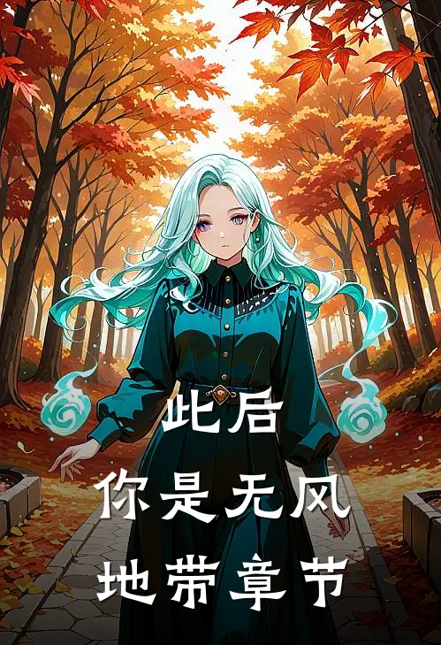 此后，你是无风地带章节