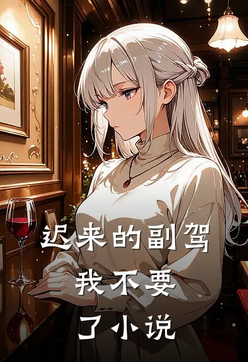 迟来的副驾，我不要了小说