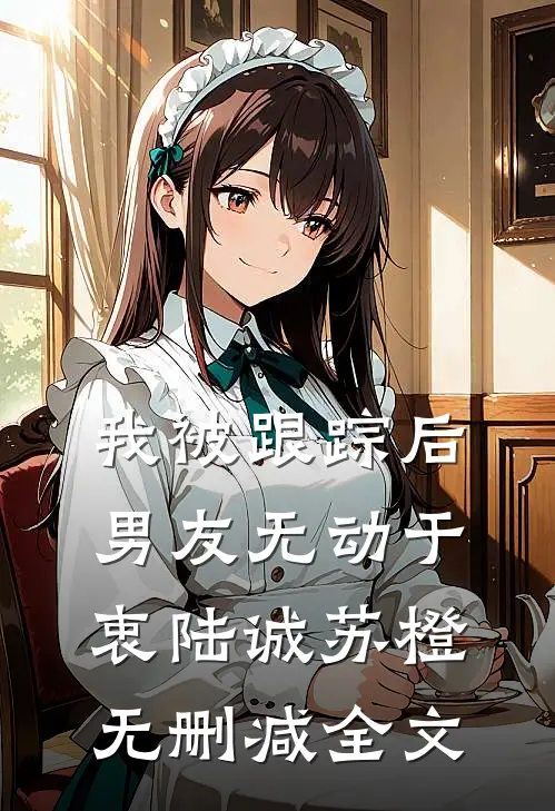 我被跟踪后，男友无动于衷陆诚苏橙无删减全文