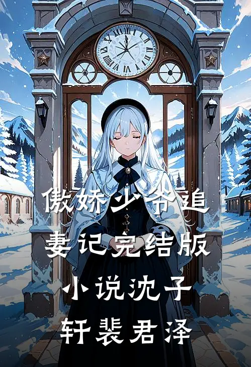 傲娇少爷追妻记完结版小说沈子轩裴君泽