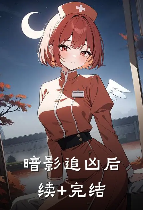 《暗影追凶》后续+完结