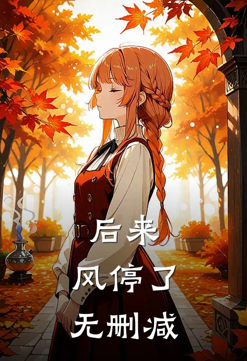 后来，风停了无删减