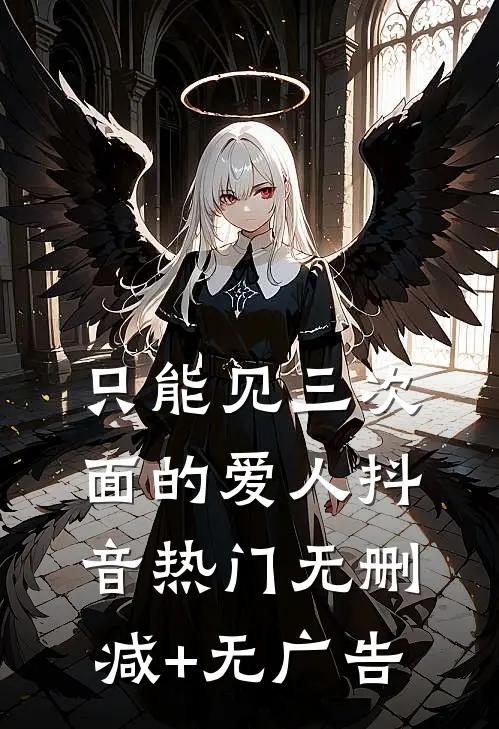 只能见三次面的爱人抖音热门无删减+无广告