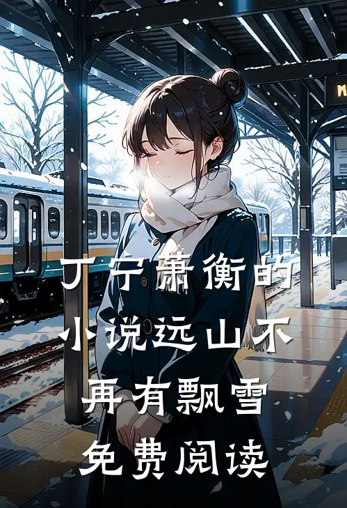 丁宁萧衡的小说远山不再有飘雪免费阅读