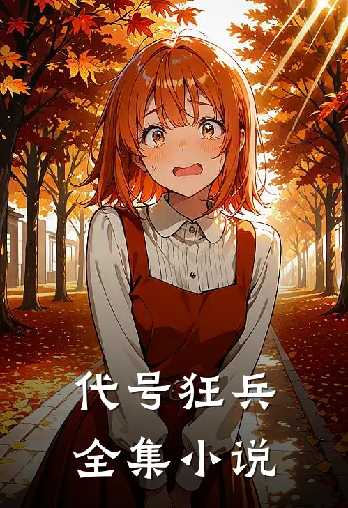 代号狂兵全集小说