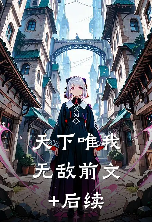 天下唯我无敌前文+后续