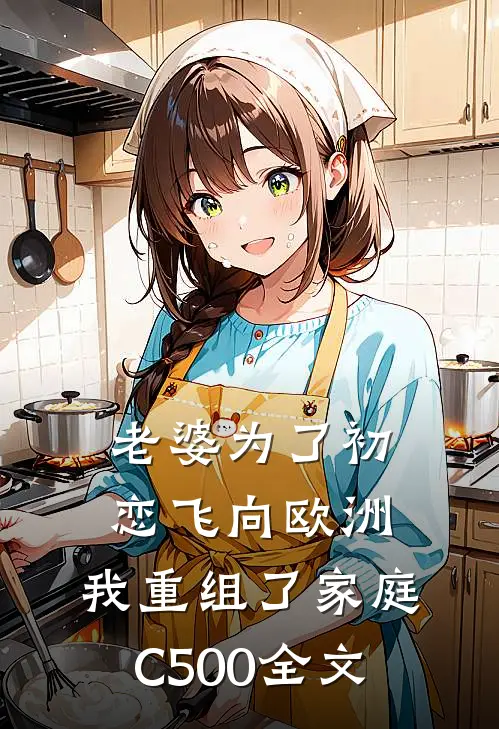 老婆为了初恋飞向欧洲，我重组了家庭C500全文